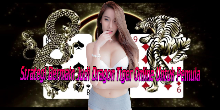 Strategi Bermain Judi Dragon Tiger Online Untuk Pemula
